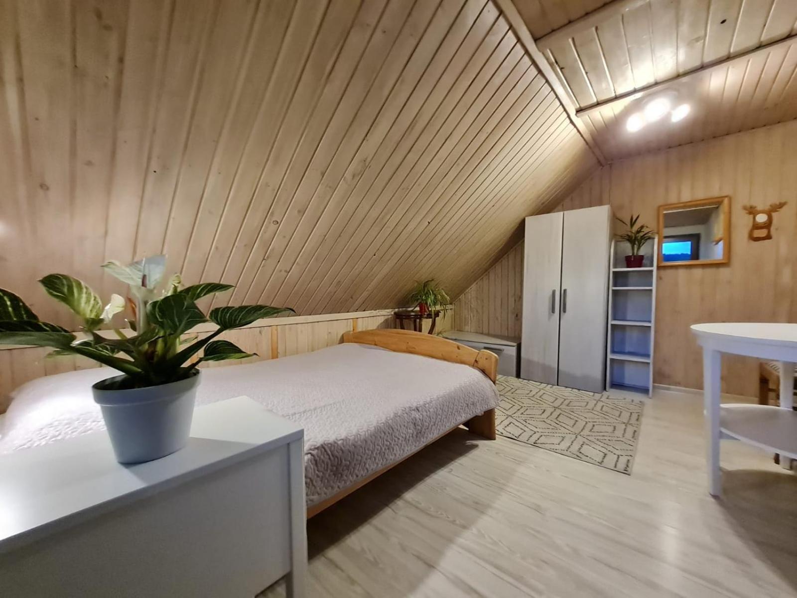 Koliba Nad Bialka Czarna Gora Bed & Breakfast Eksteriør bilde
